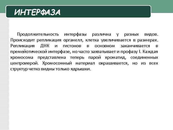 ИНТЕРФАЗА Продолжительность интерфазы различна у разных видов. Происходит репликация органелл, клетка увеличивается в размерах.