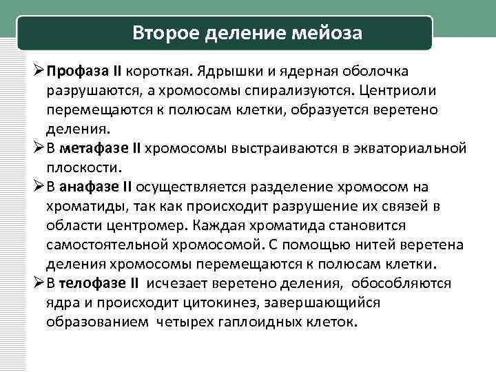 Второе деление мейоза Ø Профаза II короткая. Ядрышки и ядерная оболочка разрушаются, а хромосомы