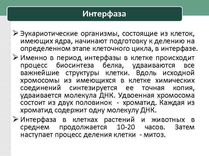 Интерфаза Ø Эукариотические организмы, состоящие из клеток, имеющих ядра, начинают подготовку к делению на