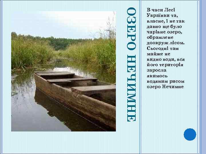 ОЗЕРО НЕЧИМНЕ В часи Лесі Українки та, власне, і не так давно ще було
