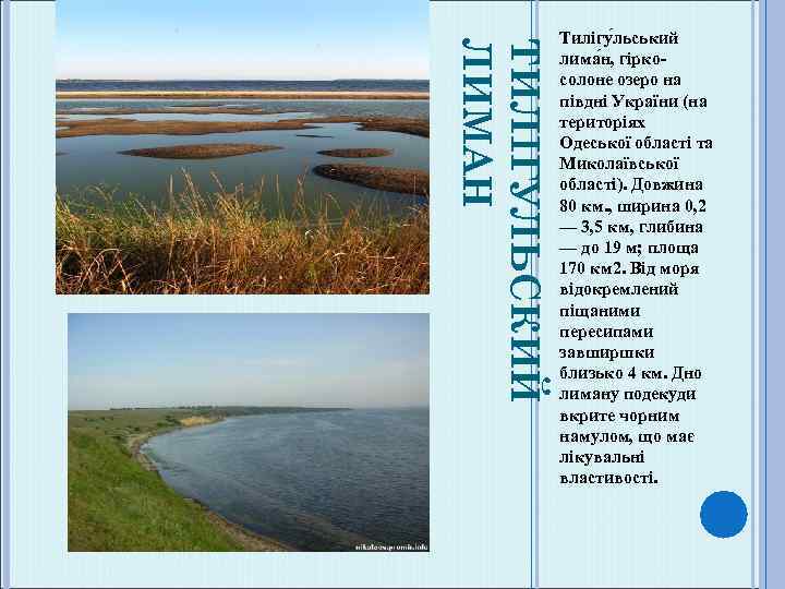 ТИЛІГУЛЬСКИЙ ЛИМАН Тилігу льський лима н, гіркосолоне озеро на півдні України (на територіях Одеської
