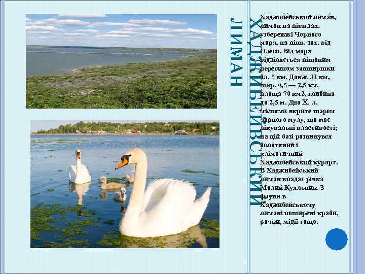 ХАДЖИБЕЙВСЬКИЙ ЛИМАН Хаджибе йський лима н, лиман на півн. зах. узбережжі Чорного моря, на