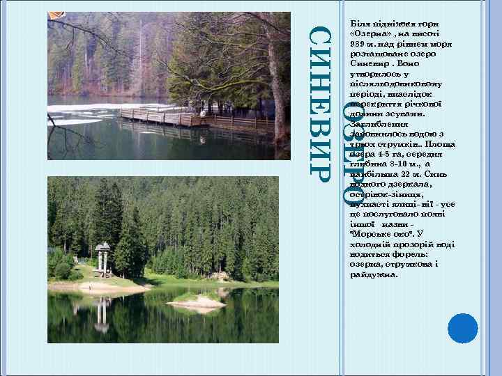 ОЗЕРО СИНЕВИР Біля підніжжя гори «Озерна» , на висоті 989 м. над рівнем моря