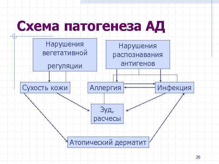 Схема патогенеза АД Нарушения вегетативной регуляции Сухость кожи Нарушения распознавания антигенов Аллергия Инфекция Зуд,