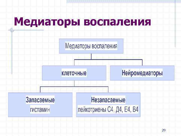 Медиаторы воспаления 29 