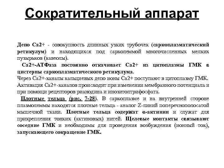 Сократительный аппарат Депо Ca 2+ - совокупность длинных узких трубочек (саркоплазматический ретикулум) и находящихся