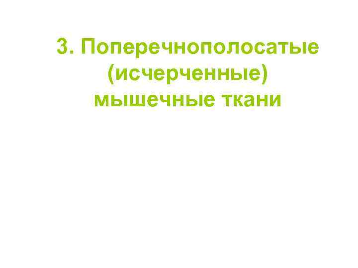 3. Поперечнополосатые (исчерченные) мышечные ткани 