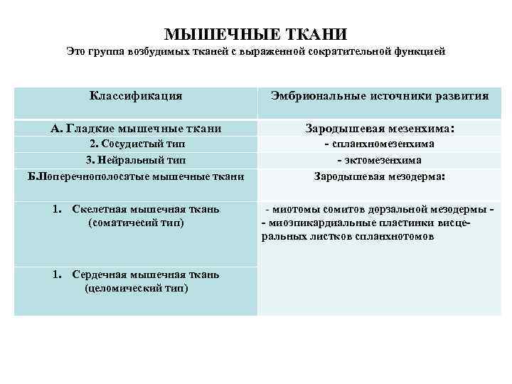 МЫШЕЧНЫЕ ТКАНИ Это группа возбудимых тканей с выраженной сократительной функцией Классификация Эмбриональные источники развития