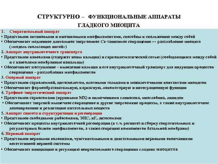  СТРУКТУРНО – ФУНКЦИОНАЛЬНЫЕ АППАРАТЫ ГЛАДКОГО МИОЦИТА 1. Сократительный аппарат • Представлен актиновыми и