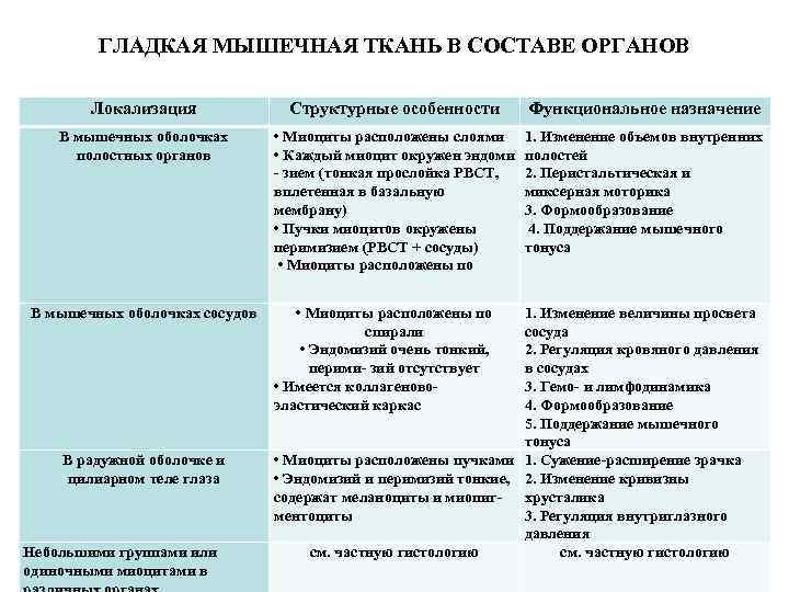 ГЛАДКАЯ МЫШЕЧНАЯ ТКАНЬ В СОСТАВЕ ОРГАНОВ Локализация Структурные особенности Функциональное назначение В мышечных оболочках