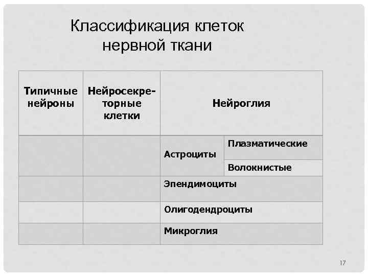 Классификация клеток нервной ткани Типичные нейроны Нейросекреторные клетки Нейроглия Астроциты Плазматические Волокнистые Эпендимоциты Олигодендроциты