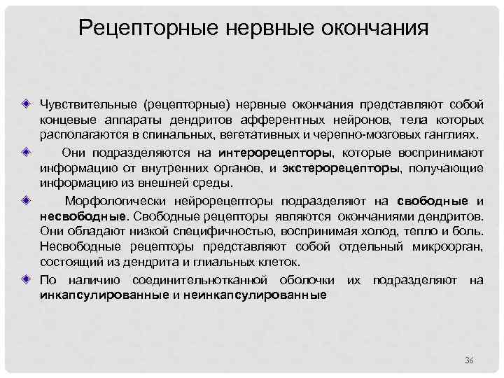 Рецепторные нервные окончания Чувствительные (рецепторные) нервные окончания представляют собой концевые аппараты дендритов афферентных нейронов,