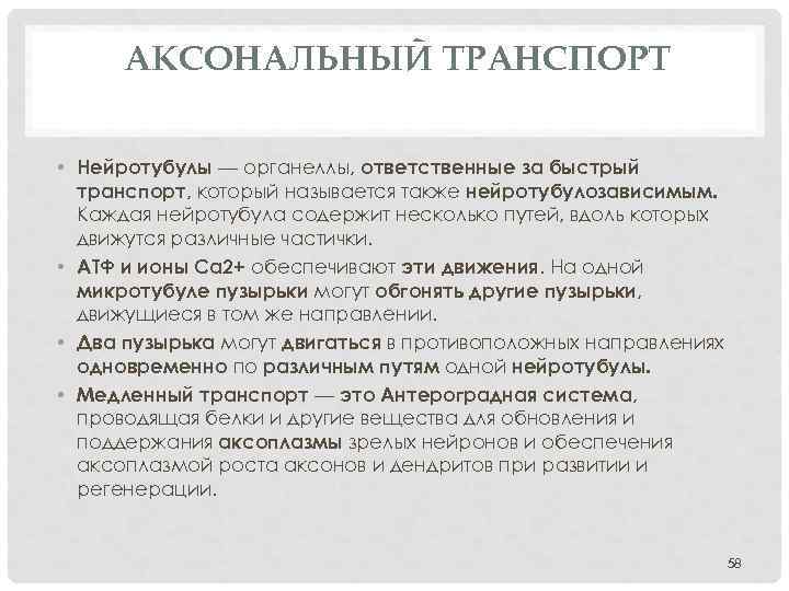 АКСОНАЛЬНЫЙ ТРАНСПОРТ • Нейротубулы — органеллы, ответственные за быстрый транспорт, который называется также нейротубулозависимым.