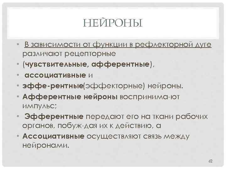 НЕЙРОНЫ • В зависимости от функции в рефлекторной дуге различают рецепторные • (чувствительные, афферентные),