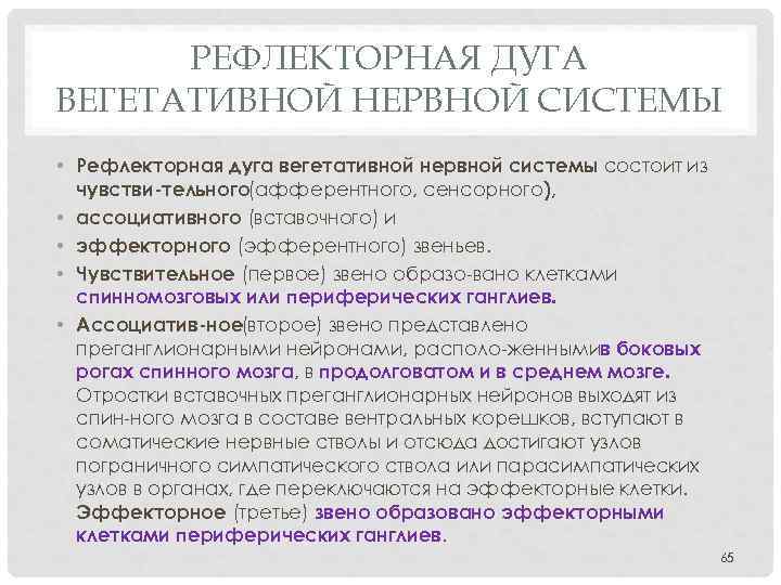 РЕФЛЕКТОРНАЯ ДУГА ВЕГЕТАТИВНОЙ НЕРВНОЙ СИСТЕМЫ • Рефлекторная дуга вегетативной нервной системы состоит из чувстви