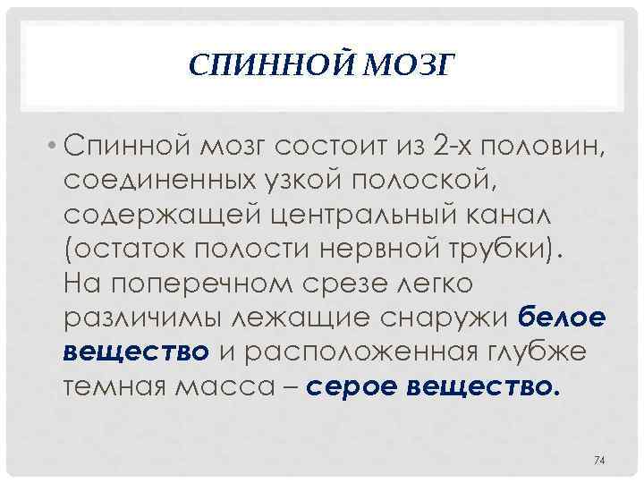 СПИННОЙ МОЗГ • Спинной мозг состоит из 2 х половин, соединенных узкой полоской, содержащей