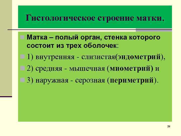 Гистологическое строение матки. n Матка – полый орган, стенка которого состоит из трех оболочек: