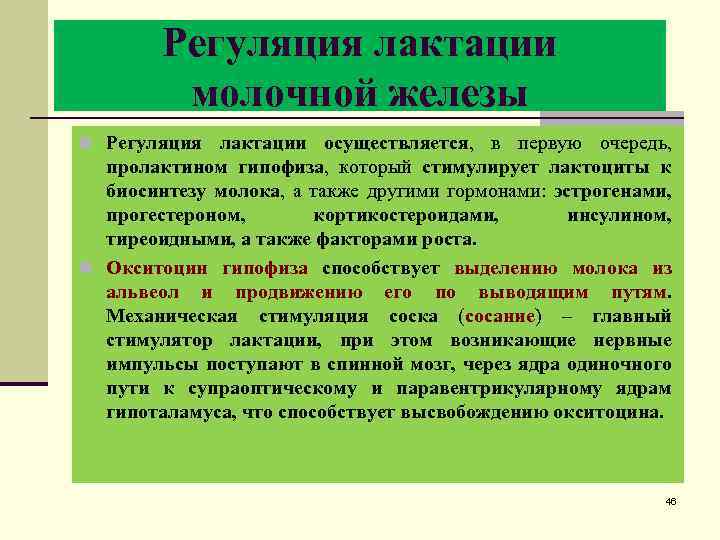Регуляция лактации молочной железы n Регуляция лактации осуществляется, в первую очередь, пролактином гипофиза, который