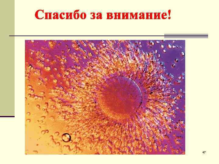  Спасибо за внимание! 47 