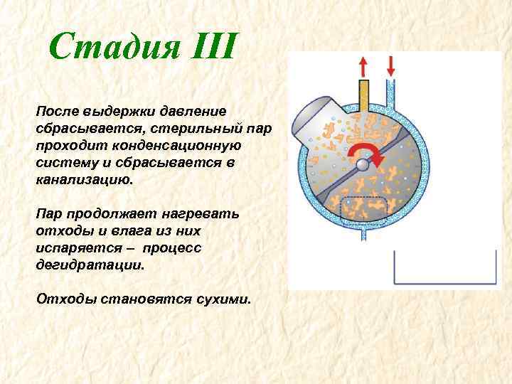Стадия III После выдержки давление сбрасывается, стерильный пар проходит конденсационную систему и сбрасывается в