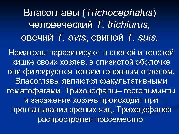 Власоглавы (Trichocephalus) человеческий T. trichiurus, овечий T. ovis, свиной T. suis. Нематоды паразитируют в