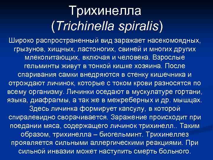 Трихинелла (Trichinella spiralis) Широко распространенный вид заражает насекомоядных, грызунов, хищных, ластоногих, свиней и многих