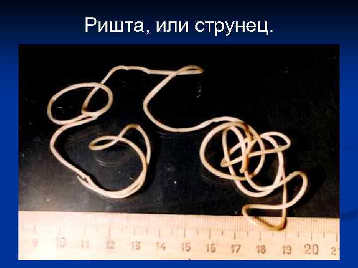 Ришта, или струнец. 