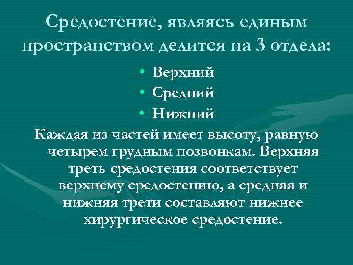 Средостение, являясь единым пространством делится на 3 отдела: • Верхний • Средний • Нижний