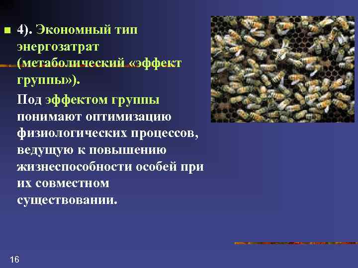 n 4). Экономный тип энергозатрат (метаболический «эффект группы» ). Под эффектом группы понимают оптимизацию