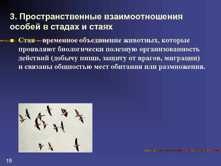 3. Пространственные взаимоотношения особей в стадах и стаях n 18 Стая – временное объединение