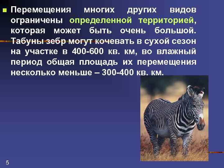 n 5 Перемещения многих других видов ограничены определенной территорией, которая может быть очень большой.