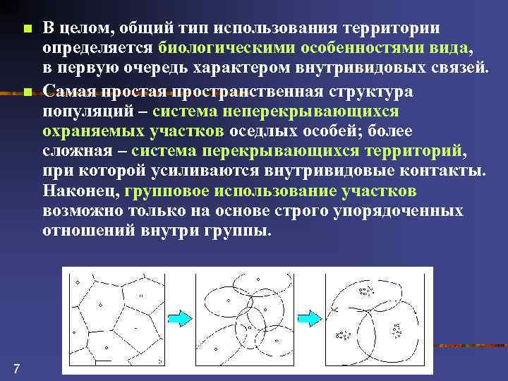 n n 7 В целом, общий тип использования территории определяется биологическими особенностями вида, в