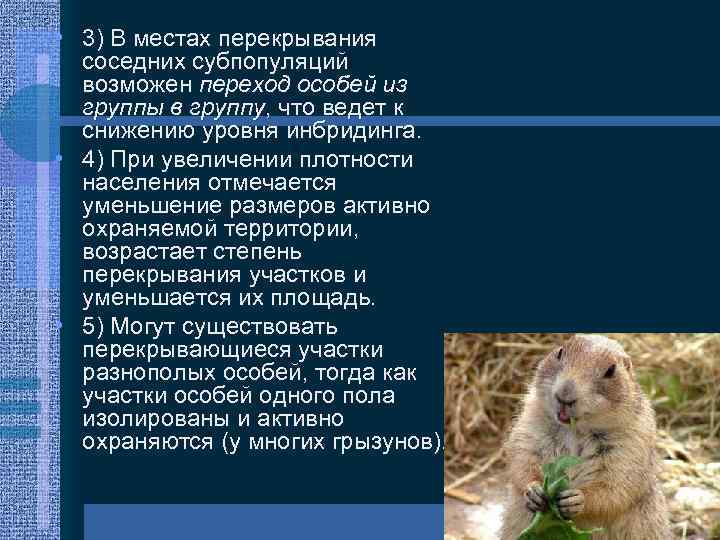  • 3) В местах перекрывания соседних субпопуляций возможен переход особей из группы в
