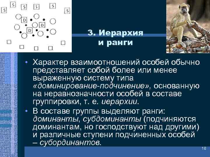 3. Иерархия и ранги • Характер взаимоотношений особей обычно представляет собой более или менее