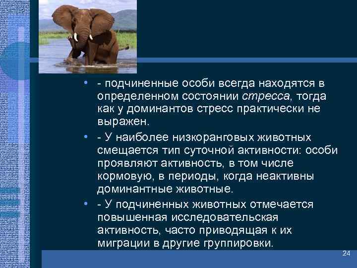  • - подчиненные особи всегда находятся в определенном состоянии стресса, тогда как у