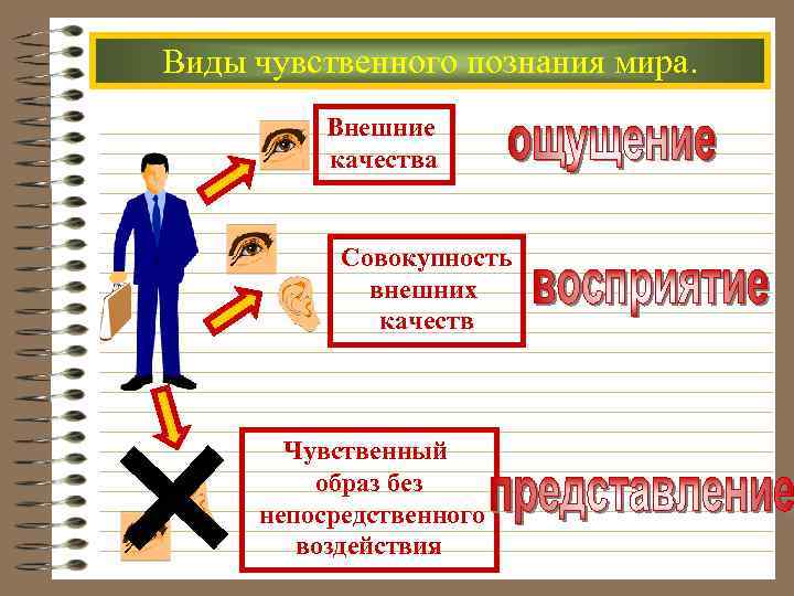 Виды чувственного познания мира. Внешние качества Совокупность внешних качеств Чувственный образ без непосредственного воздействия