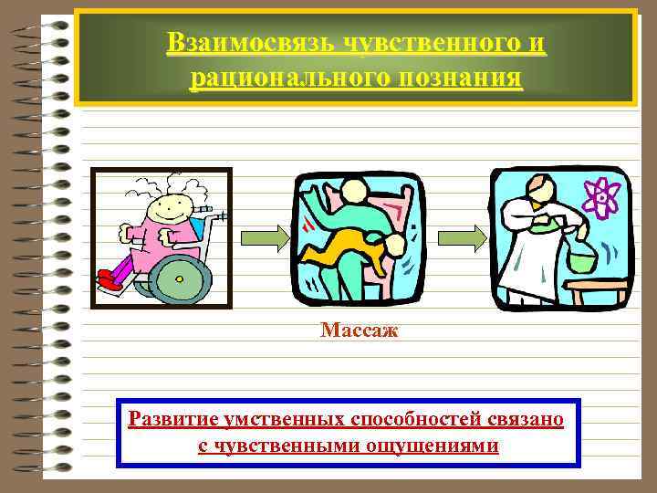 Взаимосвязь чувственного и рационального познания Массаж Развитие умственных способностей связано с чувственными ощущениями 