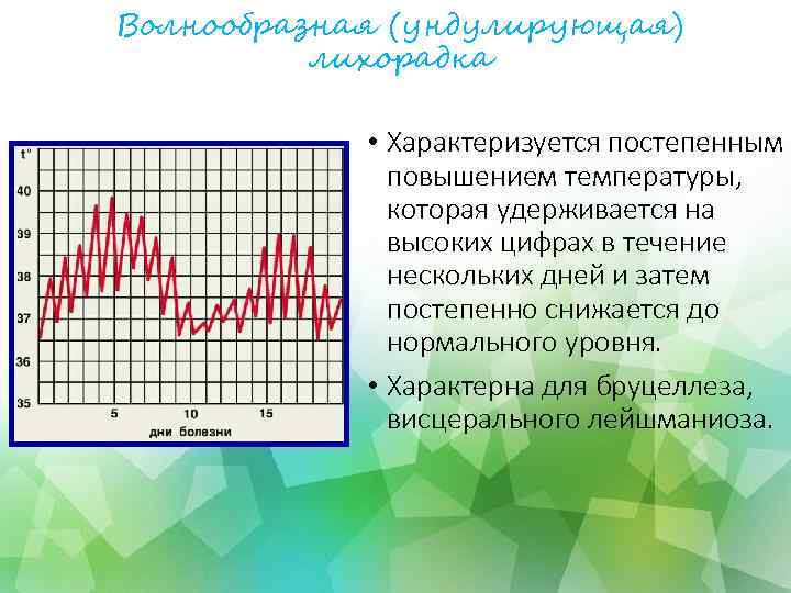 Волнообразная (ундулирующая) лихорадка • Характеризуется постепенным повышением температуры, которая удерживается на высоких цифрах в