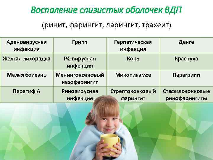 Воспаление слизистых оболочек ВДП (ринит, фарингит, ларингит, трахеит) Аденовирусная инфекция Грипп Герпетическая инфекция Денге