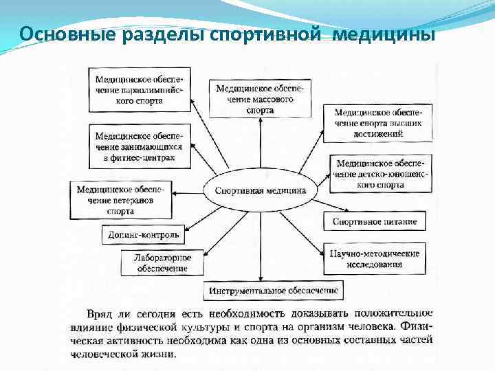 Основные разделы спортивной медицины 