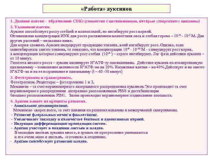  «Работа» ауксинов 1. Деление клеток - образование CDKs (совместно с цитокининами, которые «запускают»