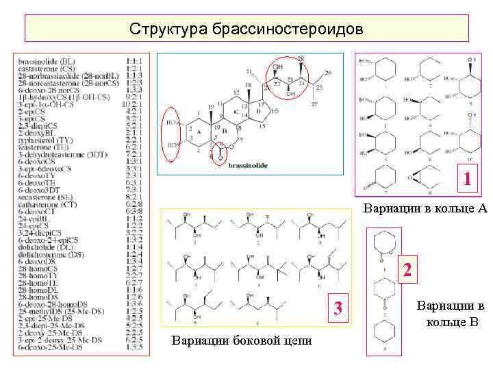 Структура брассиностероидов 1 Вариации в кольце А 2 3 Вариации боковой цепи Вариации в