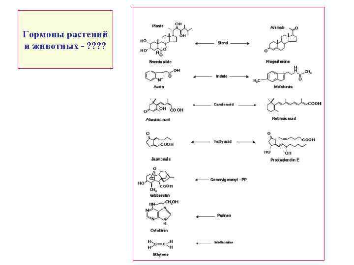 Гормоны растений и животных - ? ? 