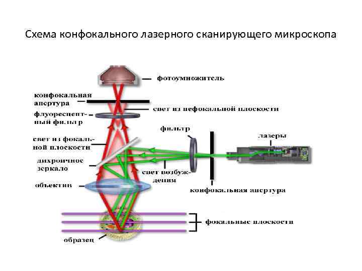 Кем был создан сканирующий тепловой микроскоп для определения теплопроводности образца на наноуровне