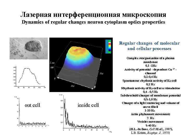 Лазерная интерференционная микроскопия Dynamics of regular changes neuron cytoplasm optics properties Regular changes of