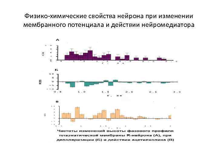 Физико-химические свойства нейрона при изменении мембранного потенциала и действии нейромедиатора 