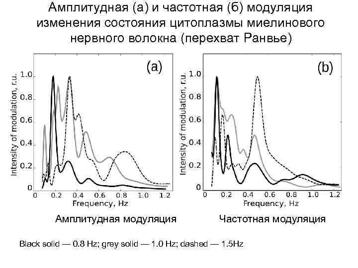 Амплитудная (а) и частотная (б) модуляция изменения состояния цитоплазмы миелинового нервного волокна (перехват Ранвье)