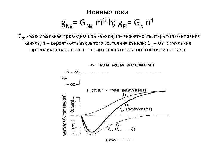 Ионные токи g. Na= GNa m 3 h; g. K = GK n 4