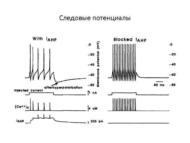 Следовые потенциалы 