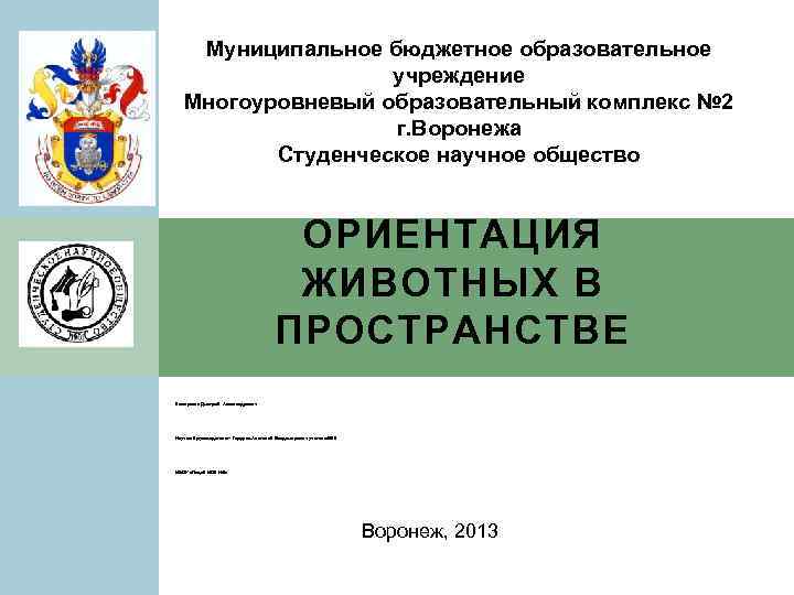 Муниципальное бюджетное образовательное учреждение Многоуровневый образовательный комплекс № 2 г. Воронежа Студенческое научное общество